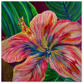 Blooming Brilliance - Brushed Aluminum Print 40x40 cm / 16x16″ - Julie Jeanne Art