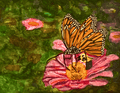 Magestic Monarch - Julie Jeanne Art