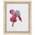 Blooming Courageously - Framed Canvas 20x25 cm / 8x10″ - Julie Jeanne Art
